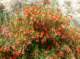 imgp1269_small.jpg