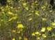 imgp1270_small.jpg