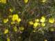 imgp1271_small.jpg