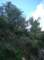 imgp1273_small.jpg