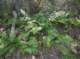 imgp1276_small.jpg