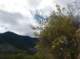 imgp1279_small.jpg