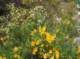 imgp1280_small.jpg