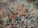 imgp1281_small.jpg