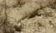 imgp1294_small.jpg