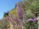 imgp1300_small.jpg