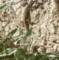 imgp1303_small.jpg