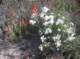 imgp1309_small.jpg