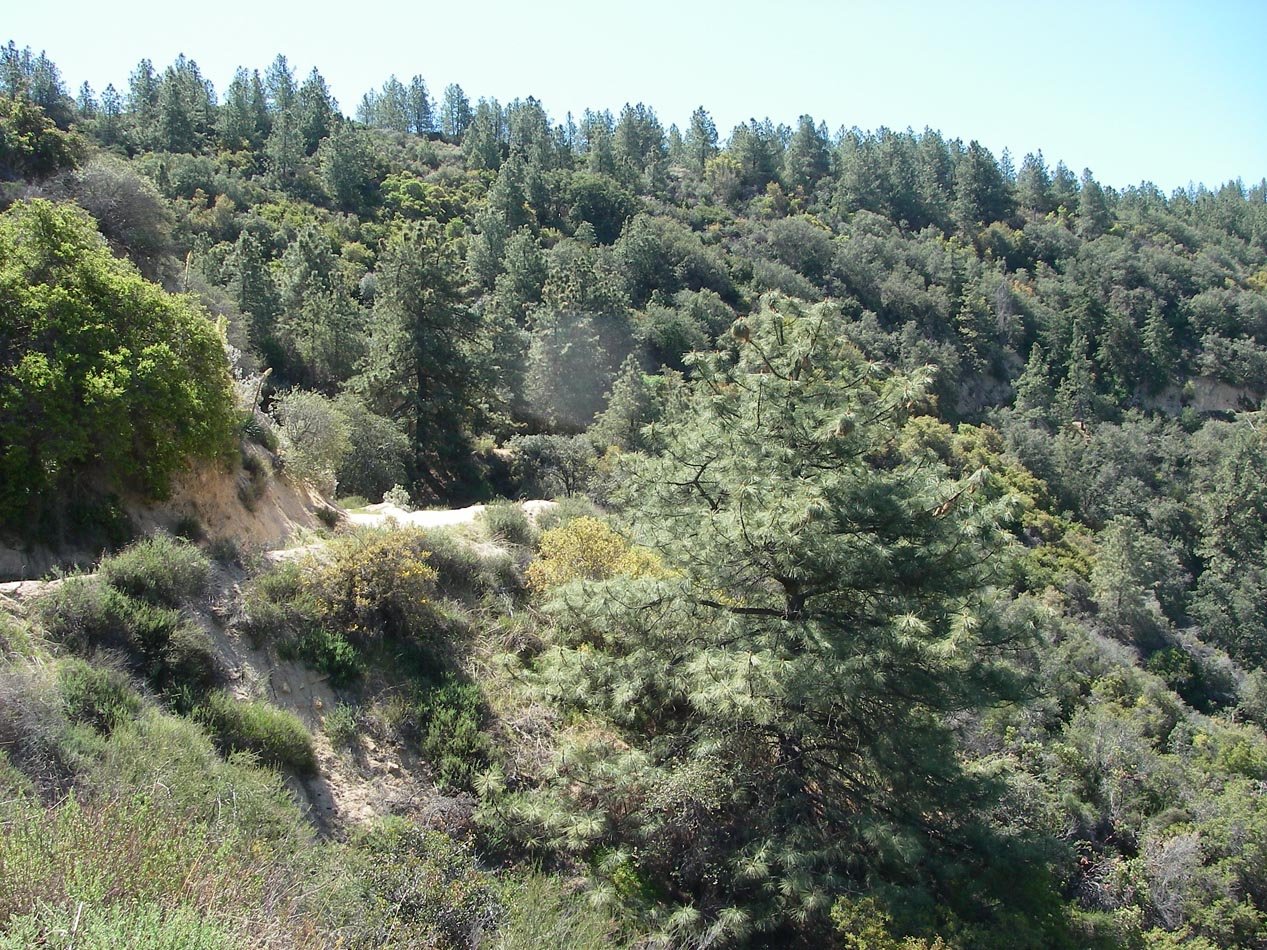Practice hike to the first pine trees along Indian Truck Trail 4/21/2018