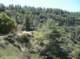 Practice hike to the first pine trees along Indian Truck Trail 4/21/2018