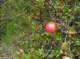 imgp1313_small.jpg