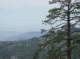imgp7918_small.jpg