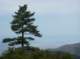 imgp7919_small.jpg