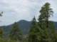 imgp7920_small.jpg