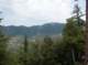 imgp7921_small.jpg