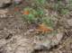 imgp7923_small.jpg