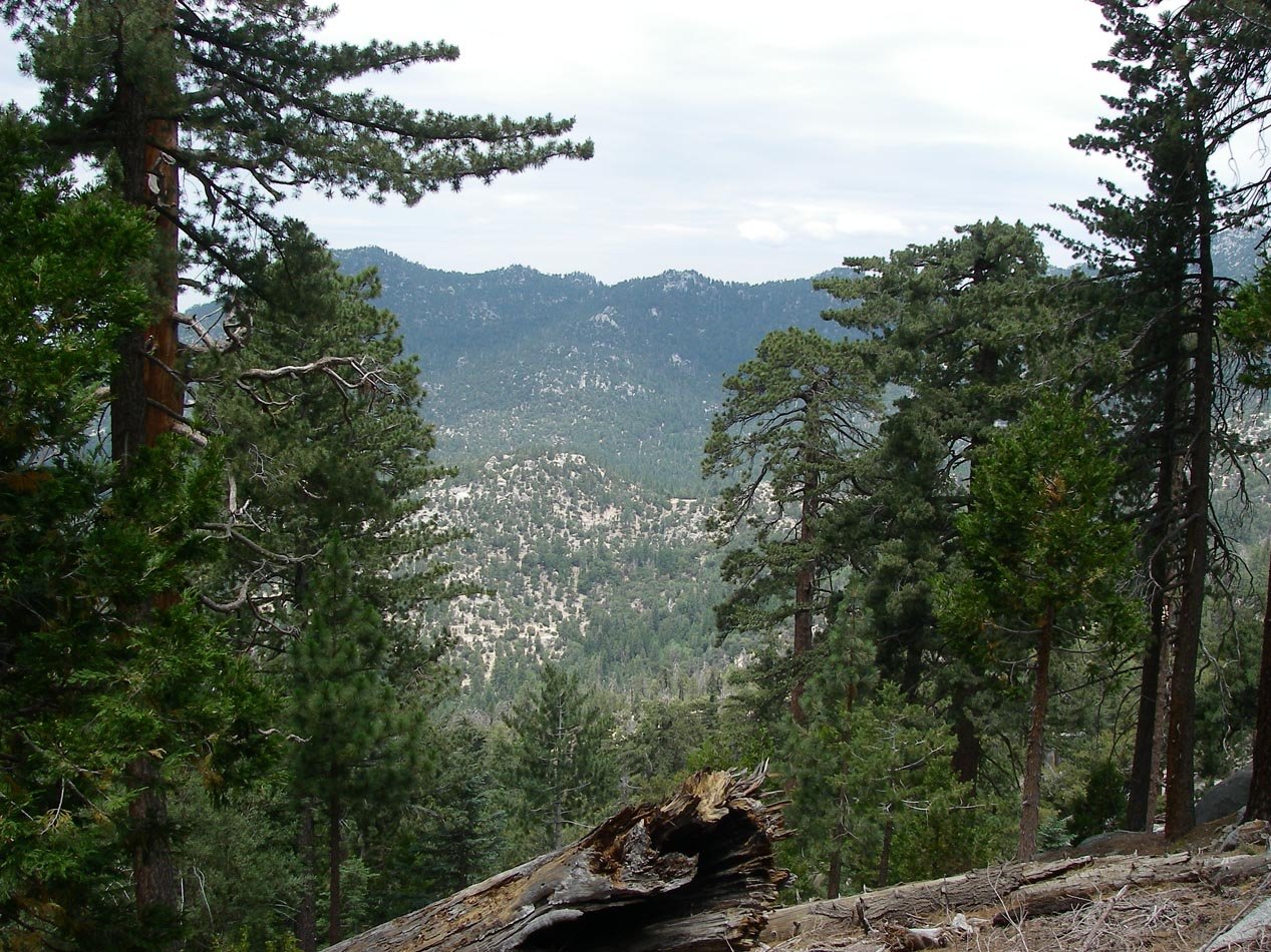 imgp7924.jpg