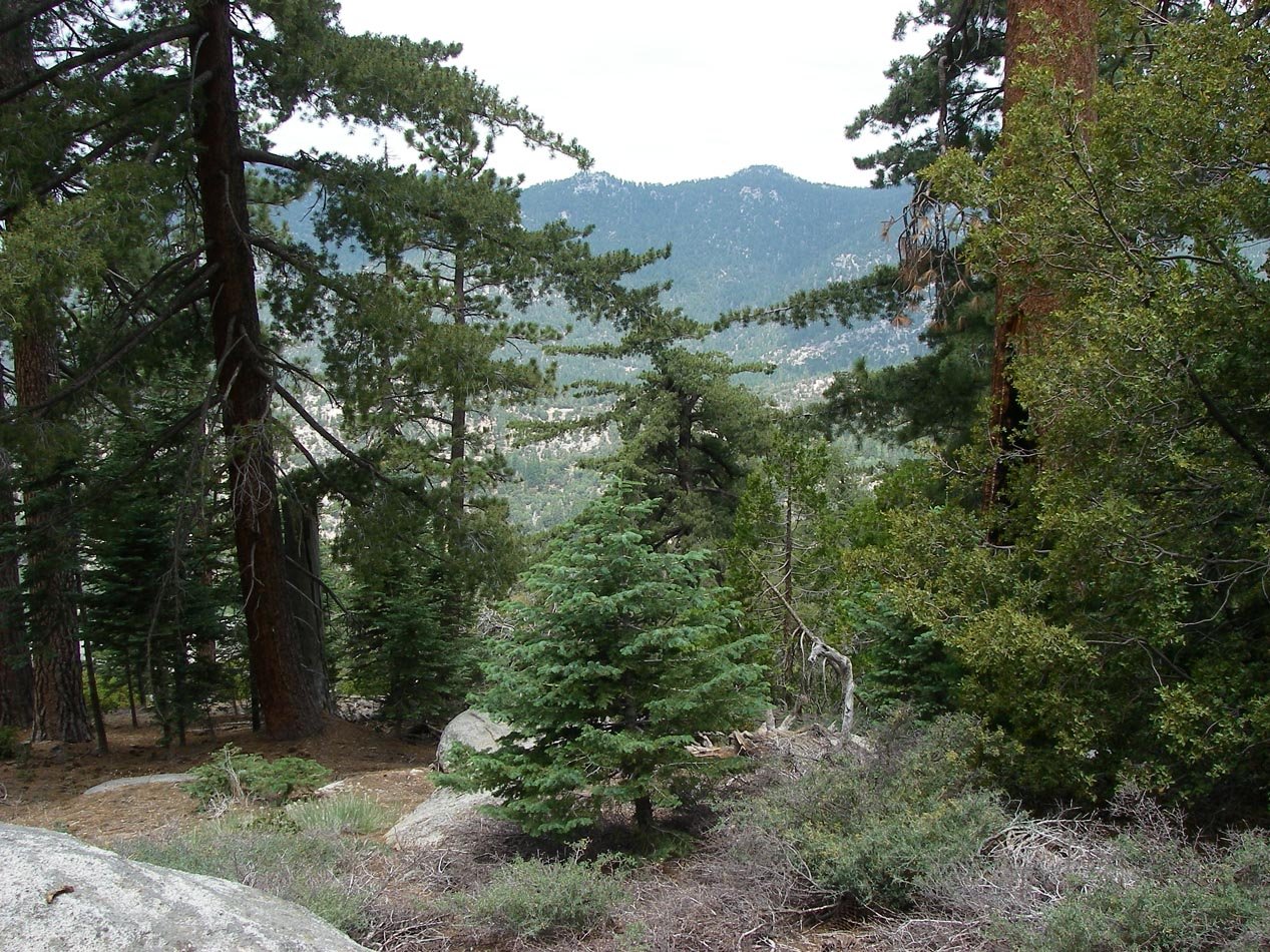 imgp7926.jpg