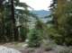 imgp7926_small.jpg