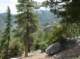 imgp7928_small.jpg