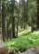 imgp7934_small.jpg