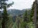 imgp7935_small.jpg