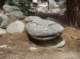 imgp7941_small.jpg