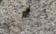 imgp7943_small.jpg