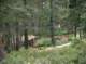 imgp7944_small.jpg
