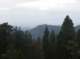 imgp7945_small.jpg