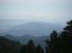 imgp7950_small.jpg