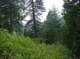 imgp7953_small.jpg