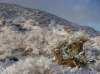 imgp7498_small.jpg