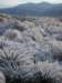 imgp7502_small.jpg