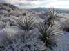 imgp7504_small.jpg