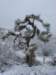 imgp7511_small.jpg