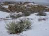 imgp7512_small.jpg