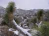 imgp7518_small.jpg