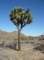 imgp7559_small.jpg