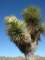 imgp7560_small.jpg
