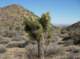 imgp7561_small.jpg