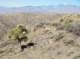 imgp7565_small.jpg