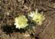 imgp7568_small.jpg