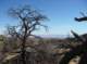 imgp7570_small.jpg