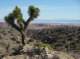 Looking north into the Mohave Desert from Eureka Peak, Joshua Tree Park 4/3/2013 