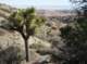 imgp7573_small.jpg