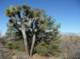 imgp7574_small.jpg