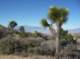 imgp7579_small.jpg