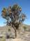 imgp7582_small.jpg