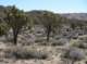 imgp7584_small.jpg